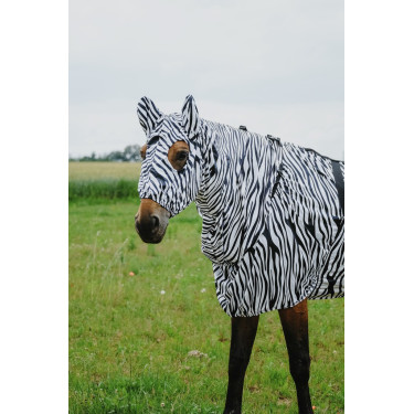Antiekzeemkap Riding World Antiekzeemkap Riding World