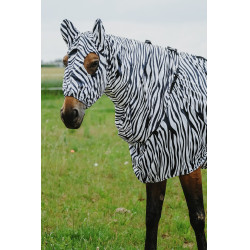 Antiekzeemkap Riding World Antiekzeemkap Riding World