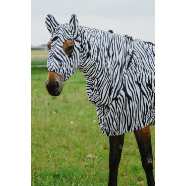 Antiekzeemkap Riding World Antiekzeemkap Riding World