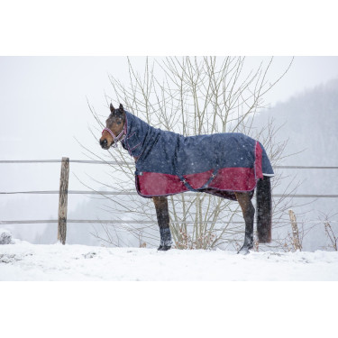 Equithème Tyrex 1200 D Combo deken Equithème Tyrex 1200 D Combo deken