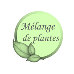 Galactomix ESC Laboratoire