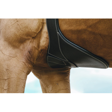 Anatomische singel Magnet Norton Anatomische singel Magnet Norton
