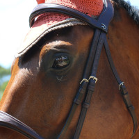 Bridon Mexicaans gecombineerde Dy'on New English Collection Bruin
