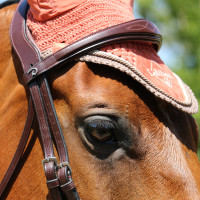 Bridon Mexicaans gecombineerde Dy'on New English Collection Bruin Bridon Mexicaans gecombineerde Dy'on New English Collection Bruin