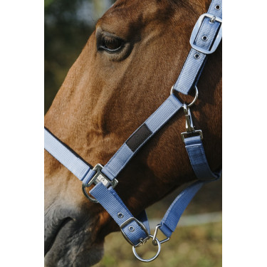 Nylon Halster Spring Equithème Nylon Halster Spring Equithème