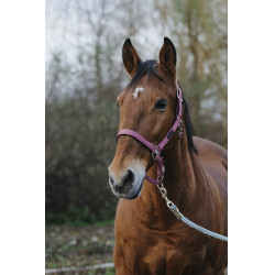 Nylon Halster Spring Equithème Nylon Halster Spring Equithème