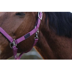 Nylon Halster Spring Equithème Nylon Halster Spring Equithème
