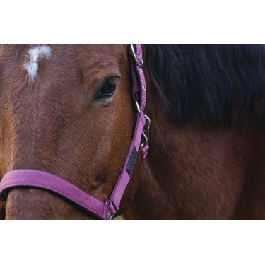 Nylon Halster Spring Equithème Nylon Halster Spring Equithème