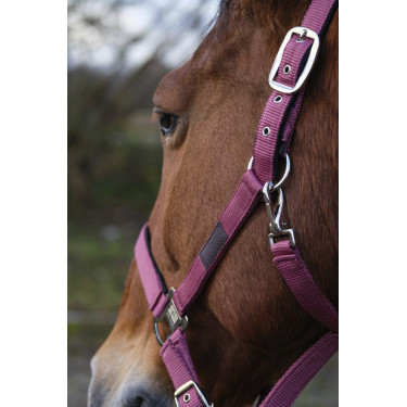 Nylon Halster Spring Equithème Nylon Halster Spring Equithème
