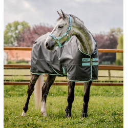 Horseware Amigo Hero Ripstop 50g deken Horseware Amigo Hero Ripstop 50g deken
