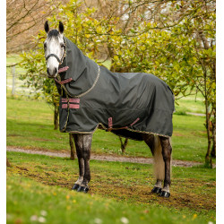 Horseware Amigo Hero Ripstop Plus deken met halsdeel 0g Horseware Amigo Hero Ripstop Plus deken met halsdeel 0g