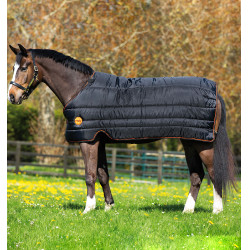 Liner Horseware Rambo Ionic Stable 100 g