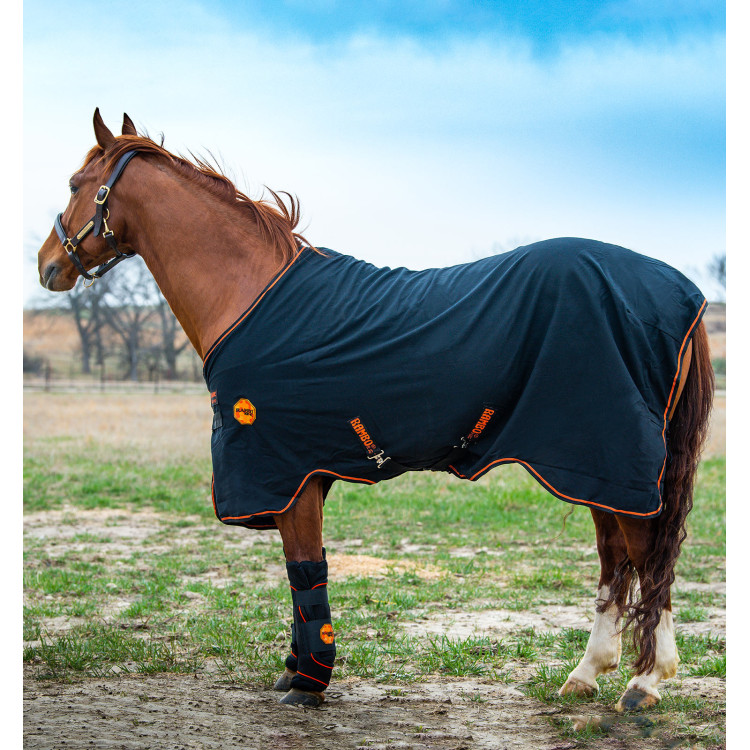 Staldeken Horseware Rambo Ionic