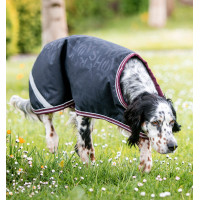 Hondenkleed Amigo Ripstop Horseware HW-print marine / bordeaux / wit
