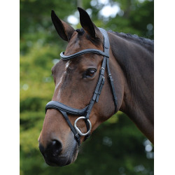 Anatomisch hoofdstel Collegiate ComFiTec Vogue Zwart Anatomisch hoofdstel Collegiate ComFiTec Vogue Zwart