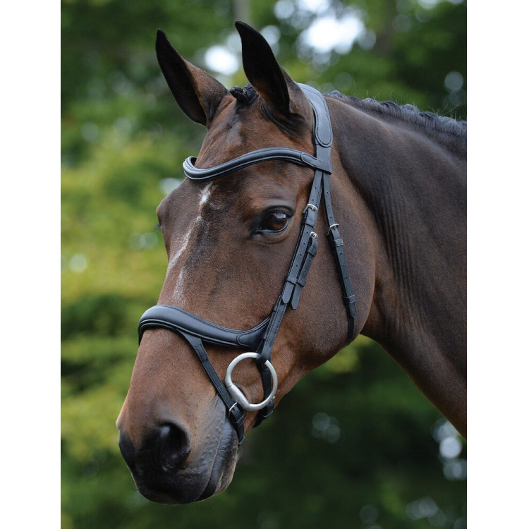 Anatomisch hoofdstel Collegiate ComFiTec Vogue Anatomisch hoofdstel Collegiate ComFiTec Vogue