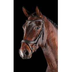 Anatomisch hoofdstel Collegiate ComFiTec Vogue Bruin