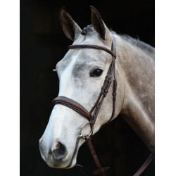 Bridon Collegiate met Mono Crown kopstuk