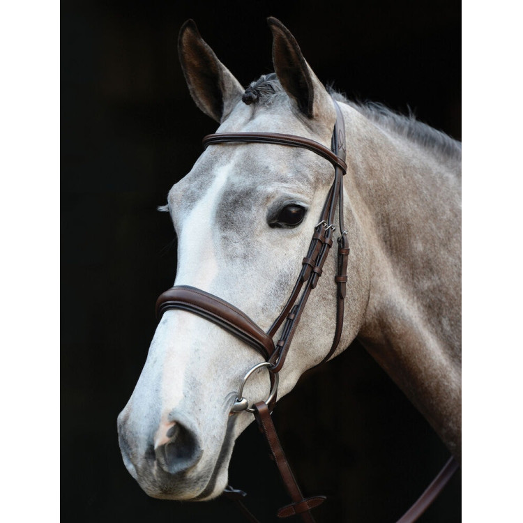 Bridon Collegiate met Mono Crown kopstuk