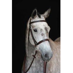 Bridon Collegiate Neusriem IV Bruin