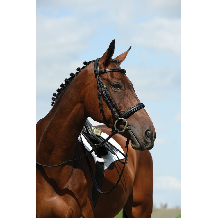 Bridon Collegiate hoofdstel Syntovia+