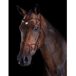 Bridon Collegiate ComFiTec Bruin