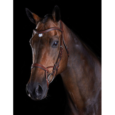 Bridon Collegiate ComFiTec Bruin