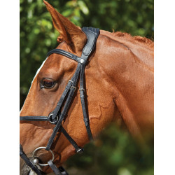 Bridon Collegiate ComFiTec Sperriem