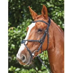 Bridon Collegiate ComFiTec Sperriem Zwart Bridon Collegiate ComFiTec Sperriem Zwart