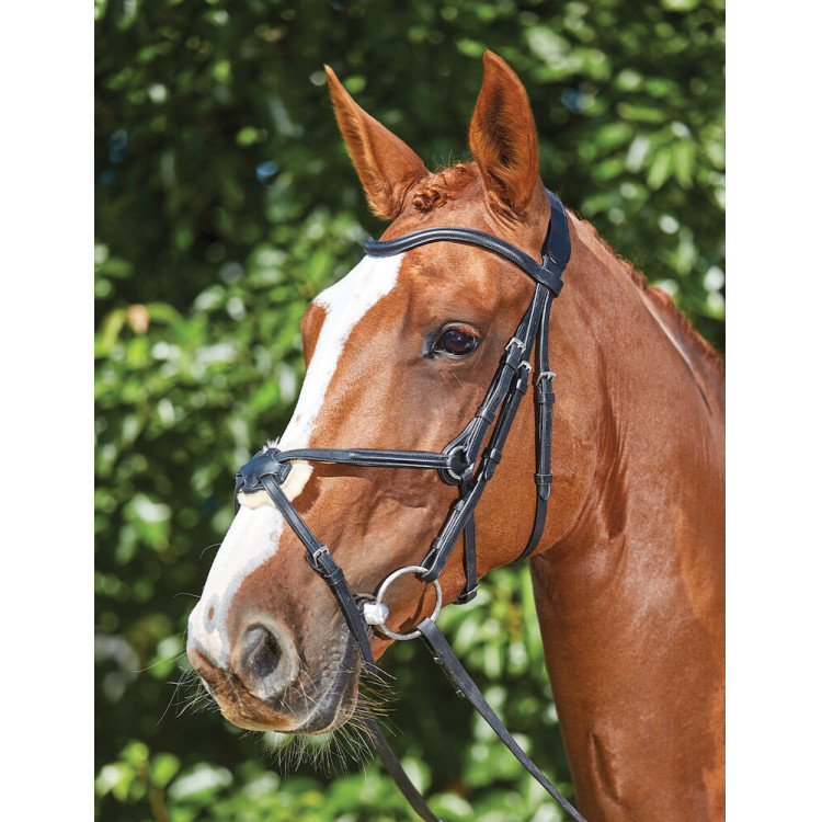Bridon Collegiate ComFiTec Sperriem Bridon Collegiate ComFiTec Sperriem