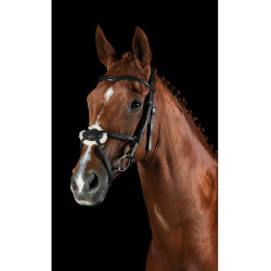 Bridon Collegiate ComFiTec Sperriem Zwart Bridon Collegiate ComFiTec Sperriem Zwart