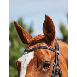 Bridon Collegiate ComFiTec Sperriem Zwart Bridon Collegiate ComFiTec Sperriem Zwart