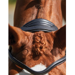 Bridon Collegiate ComFiTec Sperriem Zwart Bridon Collegiate ComFiTec Sperriem Zwart