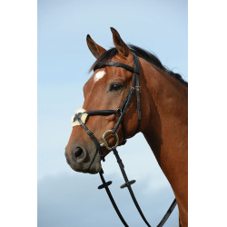 Bridon Collegiate Syntovia+ Bridon Collegiate Syntovia+