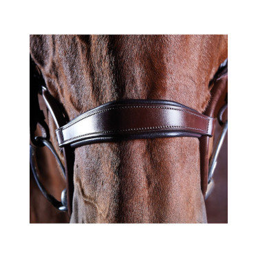 Bridon kristal Collegiate ComFiTec Bruin