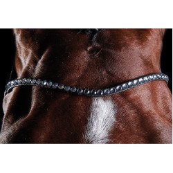 Bridon kristal Collegiate ComFiTec Bruin