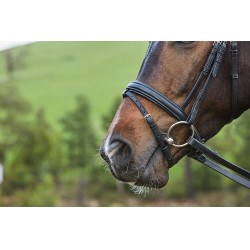 Hoofdstel gecombineerde neusriem Collegiate Syntovia+ Zwart