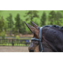 Hoofdstel gecombineerde neusriem Collegiate Syntovia+ Zwart