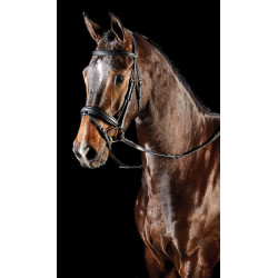 Hoofdstel gecombineerde neusriem Collegiate Syntovia+ Zwart