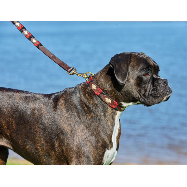 Halsband voor honden Weatherbeeta leer Polo Marron cowdray / zwart / rood / wit Multicolor