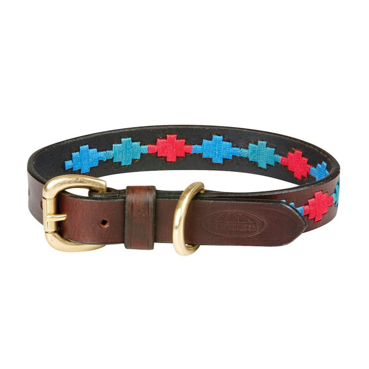 Halsband voor honden Weatherbeeta leer Polo
