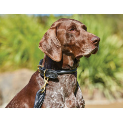 Halsband voor honden Weatherbeeta rond leer