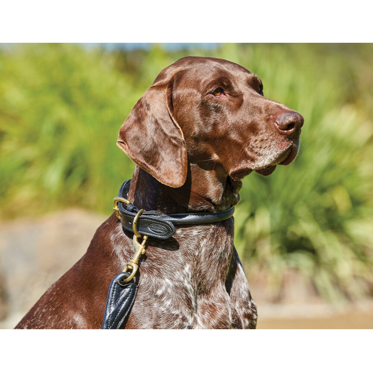 Halsband voor honden Weatherbeeta rond leer