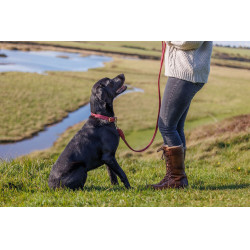 Collier pour chien Weatherbeeta cuir rond Bordeaux