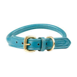 Halsband voor honden Weatherbeeta rond leer Blauwgroen