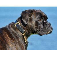 Hondenhalsband leer Weatherbeeta Zwart