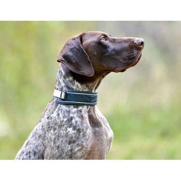 Halsband voor honden Weatherbeeta Explorer Marine Marineblauw