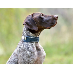 Halsband voor honden Weatherbeeta Explorer Marine Marineblauw