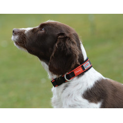 Halsband voor hond Weatherbeeta Therapy-Tec