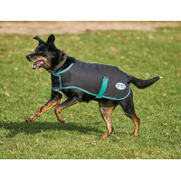 Honden deken 220g Weatherbeeta Green-Tec 900D Zwart / donkergroen